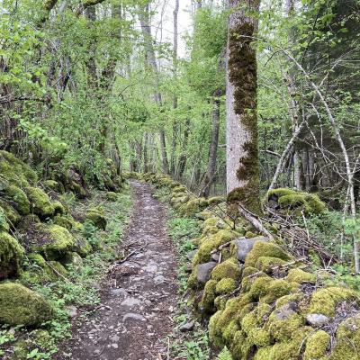 Occitanie Rando Randonnee Lozere Aveyron Traversee Aubrac 4jours Transhumance 721