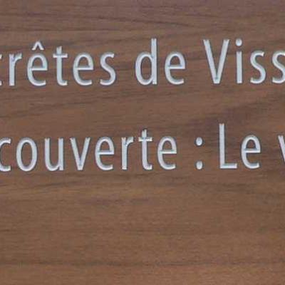 Occitanie Rando Randonnee Herault Pic Vissou 50