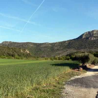 Occitanie Rando Randonnee Herault Pic Vissou 53