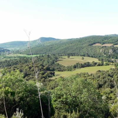 Occitanie Rando Randonnee Herault Pic Vissou 56