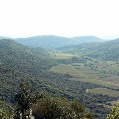Occitanie Rando Randonnee Herault Pic Vissou 59