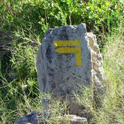 Occitanie Rando Randonnee Herault Pic Vissou 63