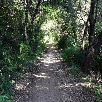 Occitanie Rando Randonnee Herault Pic Vissou 67