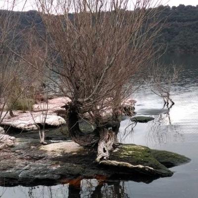 Occitanie Rando Randonnee Herault Vailhes Lac Salagou Pradines 08